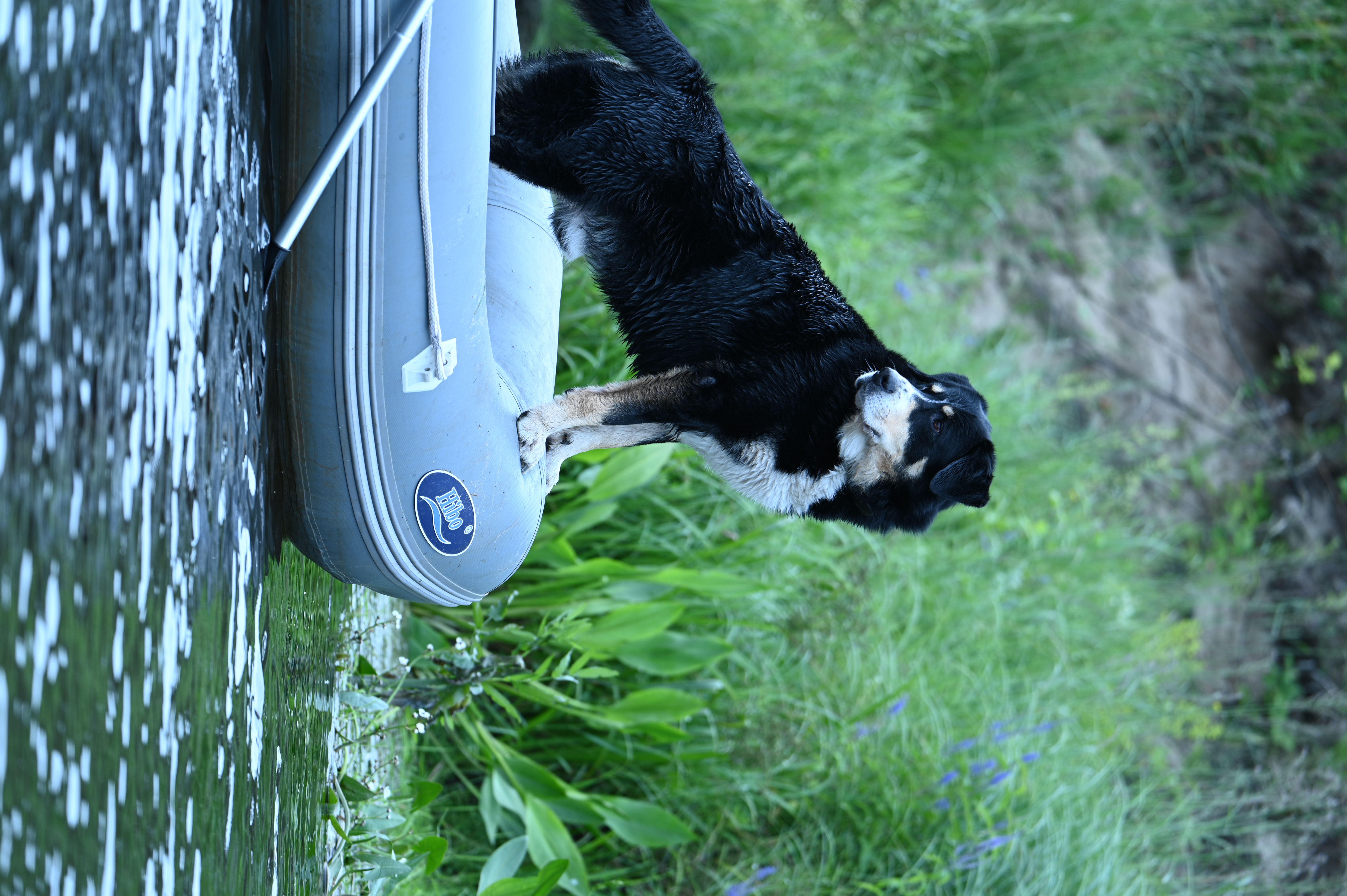 2025/07/09-14 - trip/DSC_0231.JPG